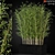 Lush Greenery: Plants Collection 271 3D model small image 1