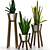 Modern Sansevieria Plant: 3D Model for 3Ds Max 3D model small image 1