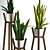 Modern Sansevieria Plant: 3D Model for 3Ds Max 3D model small image 2