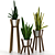 Modern Sansevieria Plant: 3D Model for 3Ds Max 3D model small image 9