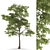 Polys 2 949 715 3D Tree 3D model small image 1