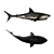 Savage Shark - Rigged & Animated 3D model small image 2