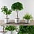 Verdant Haven: Indoor Oasis Set 3D model small image 2