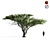 Israeli Babool: Stylish Acacia Umbrella 3D model small image 1