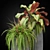 Elegant Plants: Fleur ami LINES 3D model small image 2