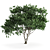 Green Beauty Plant 58 3D model small image 1