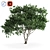 Green Beauty Plant 58 3D model small image 3