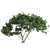 Leafy 58E Urban Plant 3D model small image 1