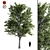 Premium Linden Tree 3D model small image 1