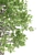 Tupelo Tree: Majestic Fall Colors 3D model small image 3
