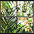 Tropical Paradise Stained-Glass Window 3D model small image 4