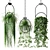 Hanging Plants Decor Set 3D model small image 1