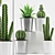 Desert Oasis: Agave & Cactus 3D model small image 1