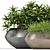 Exquisite Fleurami ROYAL Plant Collection 3D model small image 2
