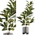 Tropical Vibes - Croton 01 3D model small image 1