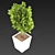 Mini Indoor Tree 3D model small image 1