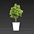 Mini Indoor Tree 3D model small image 2