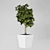 Mini Indoor Tree 3D model small image 4