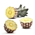 Tropical Pineapple Plant Collection 3D model small image 4
