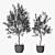 Classic Olive Tree Set 3D model small image 5