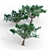 3D Acacia Tree - High-Quality 3D Model 3D model small image 2