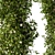 Natural Greenery Pergola 3D model small image 3