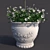 Stunning Potted Rose Bush 3D model small image 3