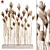 7 Stems Pampas Grass Bunch 3D model small image 5