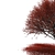 Autumn Maple Japanese Red Leaf 3D model small image 2