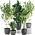 Tropical Plant Collection: Exotic Decor for Interior 3D model small image 1