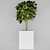 Modern Indoor Tree: Height 700mm 3D model small image 1