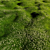 Bryozo Lawn: Corona Scatter-Enabled 20x20m Meadow 3D model small image 2