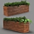 Exquisite Poly Eco Plant 3D model small image 2