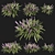 Variegata Grass: Liriope Muscari 02 3D model small image 1