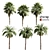 Tropical Oasis: Set of 6 Palms 3D model small image 1