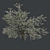 Cherry Blossom Dream Tree 3D model small image 2