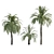 Exquisite 3D Palm Trees with Stunning Heights 3D model small image 1