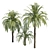 Exquisite 3D Palm Trees with Stunning Heights 3D model small image 2