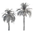 Exquisite 3D Palm Trees with Stunning Heights 3D model small image 5