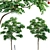 Chukrasia Tabularis Wood Set 3D model small image 1
