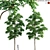 Chickrassy 3D Tree Model Kit 3D model small image 1