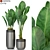 Tropical Oasis: Plants Collection 3D model small image 4