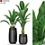 Variety of 309 Plant Collection 3D model small image 1