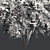 Japanese Angelica Tree: Optimized, Quad-based, High-Quality 3D Model 3D model small image 5