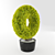 Giant Thuja Folded Torus 3D model small image 3