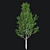 Optimized Lombardy Poplar Tree 3D model small image 3