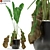 Lush Greenery Set 3D model small image 1