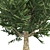 Optimized Fraser Fir Tree: Realistic 4K Textures 3D model small image 4