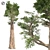 Giant Redwood Tree Sculpture 3D model small image 1