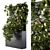 Ivy Greenery Box: Beauty in Bloom 3D model small image 1